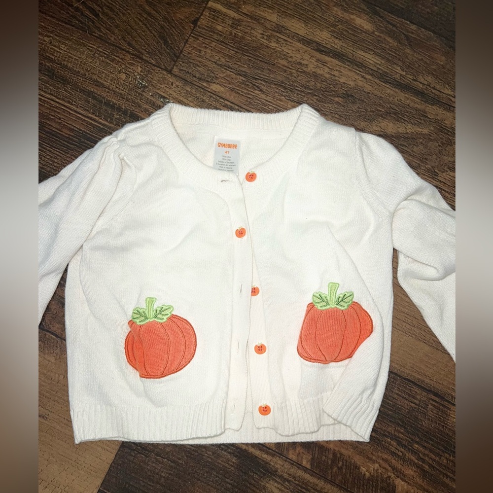 Pumpkin sweater 4T